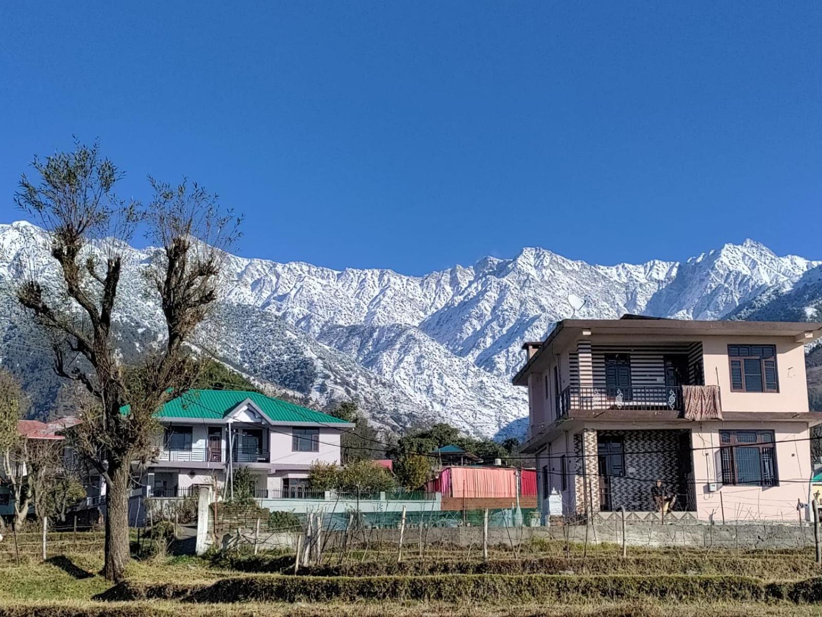 Homestay Palampur View Exterior photo